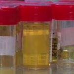 VERTUS ET AVANTAGES SPIRITUELS DE NOTRE PROPRE URINE